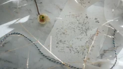 Meow Illustration - Washi Tape - Rose Lover . Me