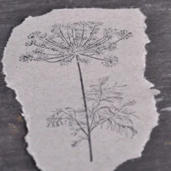 Stempel Jazz - Stamp - Dill