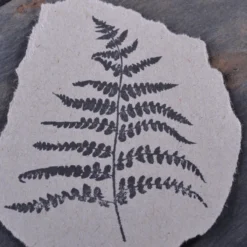 Planner Stamps Stempel Jazz - Stamp - Fern