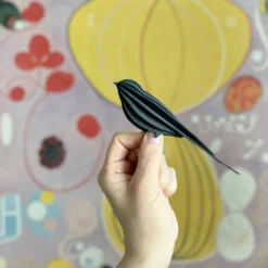 Animal Lovers Lovi - Ornament - Swallow - 15cm - Dark Blue