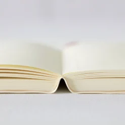 Midori - 2022 Diary - MD 1Day 1Page - A5 Diaries 8 Midori - 2022 Diary - MD 1Day 1Page - A5 Diaries