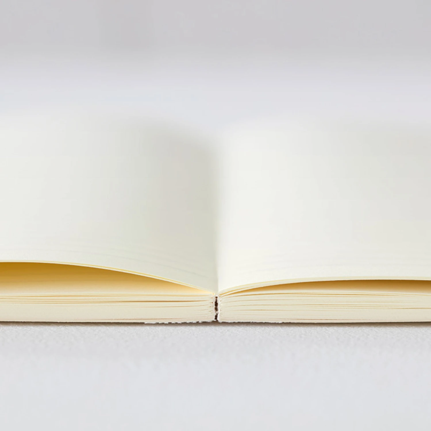 Midori-2022-Diary-MD-Notebook-14.jpg Diaries Midori - 2022 Diary - MD Notebook - B6 Slim