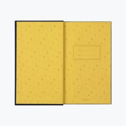 Midori - Journal - 1 Day 1 Page - Stars