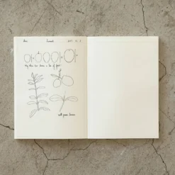 Midori - Notebook - MD Paper - A5 - Frame Notebooks