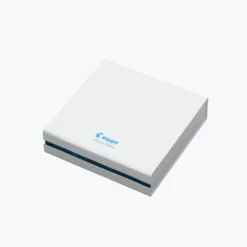 Fountain Pens Pilot - Fountain Pen - Capless - Tropical Turquoise (2019 Limited Edition) [SOLD OUT]