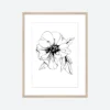 Toril Baekmark - Fine Art Prints - Black Flowers No.4 Gifts Under $100