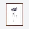 Gifts Under $100 Toril Baekmark - Fine Art Prints - Flower Poster No.8