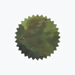 Fountain Pen Inks Robert Oster - Fountain Pen Ink - Signature - Crocodile Green