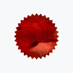 Robert Oster - Fountain Pen Ink - Signature - Direct Sun Fountain Pen Inks