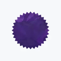 Robert Oster - Fountain Pen Ink - Signature - Dragon's Night