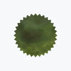 Robert Oster - Fountain Pen Ink - Signature - Eucalyptus Leaf 3 Robert Oster - Fountain Pen Ink - Signature - Eucalyptus Leaf