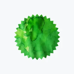 Robert Oster - Fountain Pen Ink - Signature - Green Green