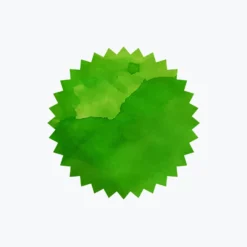 Robert Oster - Fountain Pen Ink - Signature - Ryde Green Fountain Pen Inks