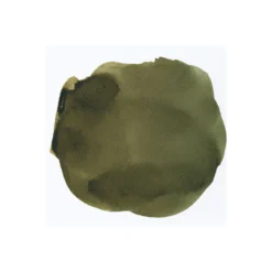 Fountain Pen Inks Super5 - Ink Cartridges - Dublin (Green)