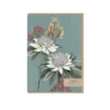 Typoflora - Card - Waratah