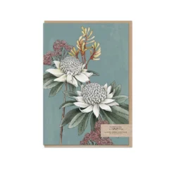Typoflora - Card - Waratah