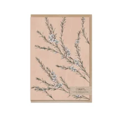 Typoflora - Card - Wax Flowers