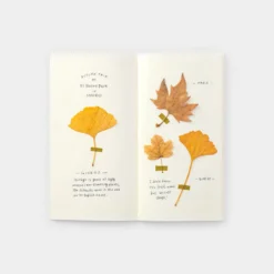 Traveler's Company - Inserts - Regular - 025 MD Cream Paper Notebooks