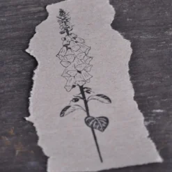 Stempel Jazz - Stamp - Anemone