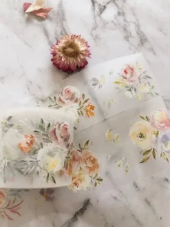 Meow Illustration - Washi Tape - Pinkish Carnival (PET)