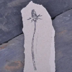 Stempel Jazz - Stamp - Dandelion Bud