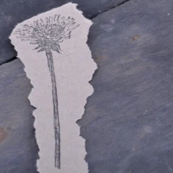 Planner Stamps Stempel Jazz - Stamp - Dandelion