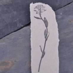 Stempel Jazz - Stamp - Shepherd's Purse Blooming Planner Stamps