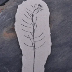 Stempel Jazz - Stamp - Shepherd's Purse Planner Stamps