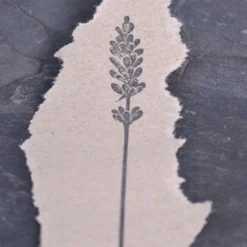 Stempel Jazz - Stamp - Lavender Planner Stamps