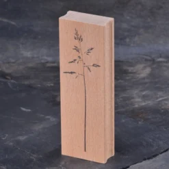 Stempel Jazz - Stamp - Panicle Grass